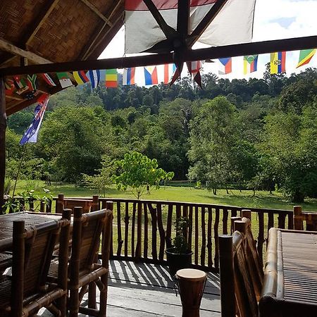 Batu Kapal Guest House & Jungle Trekking Bukit Lawang Dış mekan fotoğraf