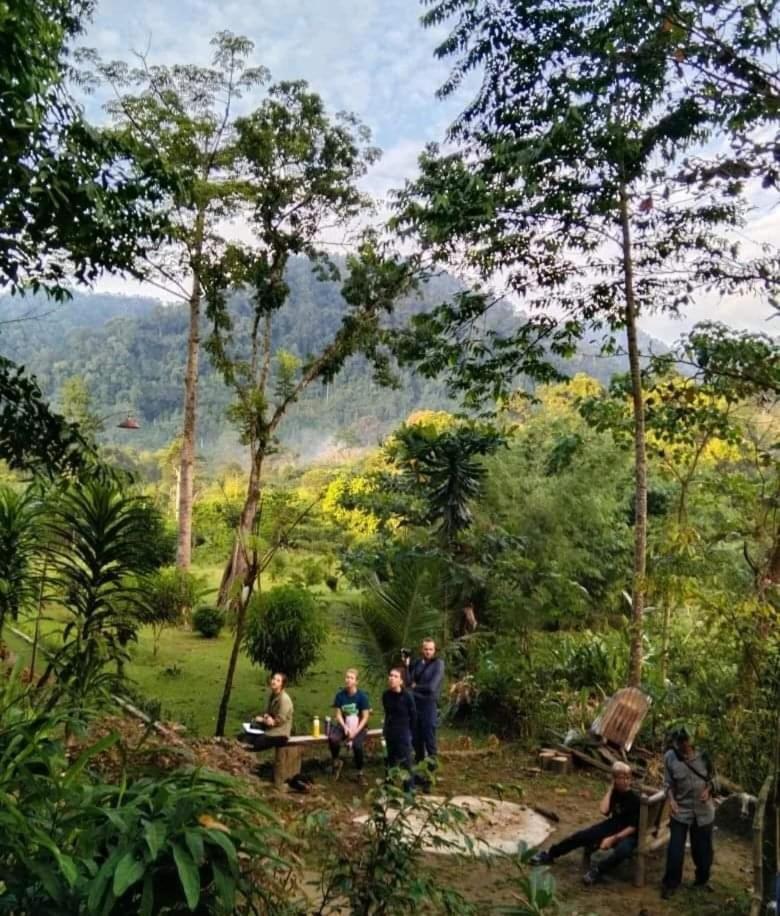 Batu Kapal Guest House & Jungle Trekking Bukit Lawang Dış mekan fotoğraf