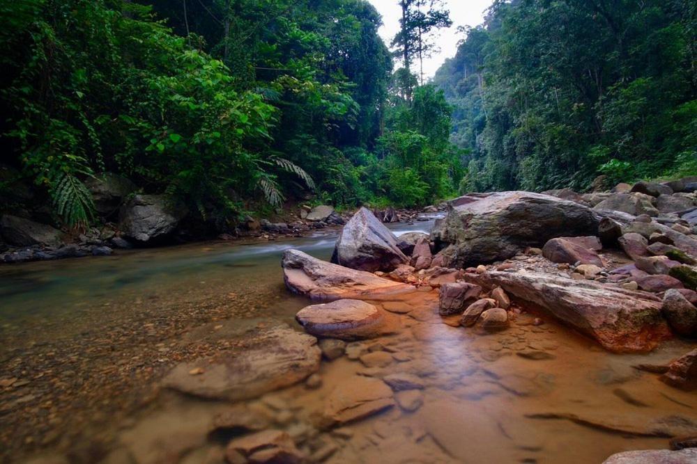 Batu Kapal Guest House & Jungle Trekking Bukit Lawang Dış mekan fotoğraf