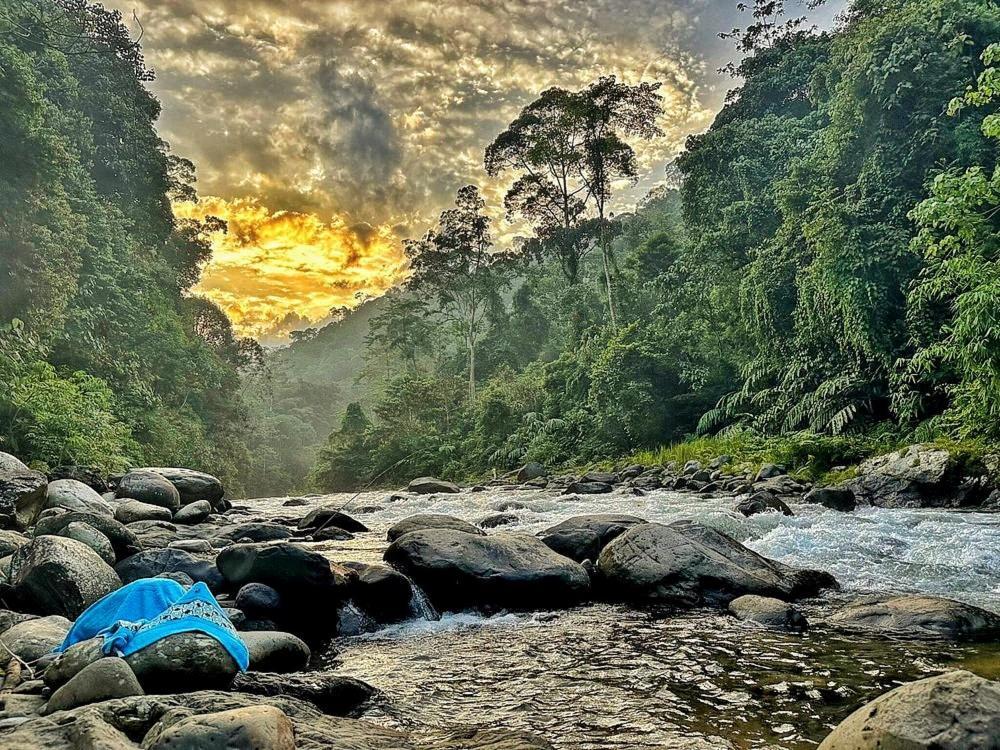 Batu Kapal Guest House & Jungle Trekking Bukit Lawang Dış mekan fotoğraf