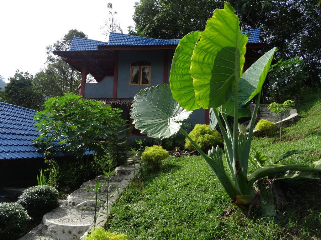 Batu Kapal Guest House & Jungle Trekking Bukit Lawang Dış mekan fotoğraf