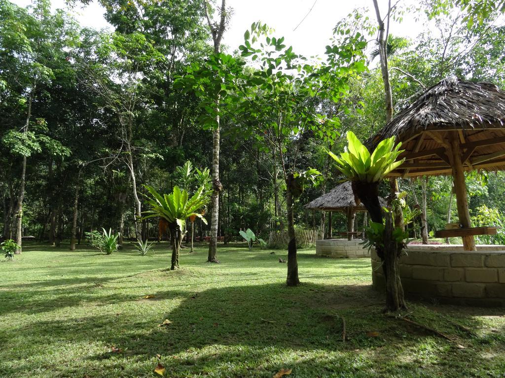 Batu Kapal Guest House & Jungle Trekking Bukit Lawang Dış mekan fotoğraf