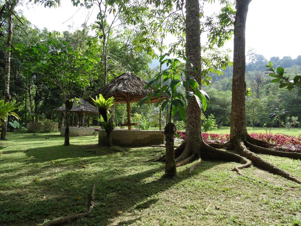 Batu Kapal Guest House & Jungle Trekking Bukit Lawang Dış mekan fotoğraf