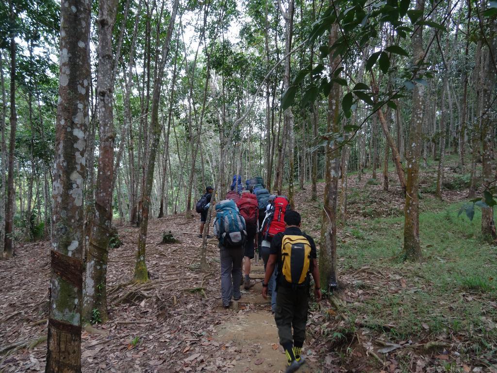 Batu Kapal Guest House & Jungle Trekking Bukit Lawang Dış mekan fotoğraf