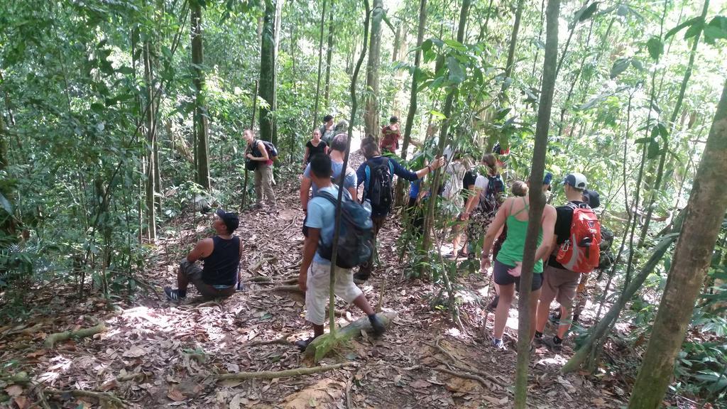 Batu Kapal Guest House & Jungle Trekking Bukit Lawang Dış mekan fotoğraf