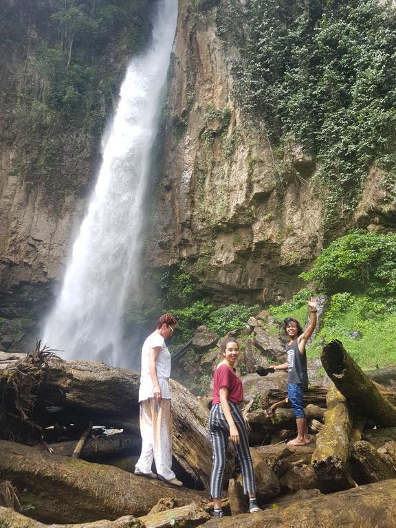 Batu Kapal Guest House & Jungle Trekking Bukit Lawang Dış mekan fotoğraf