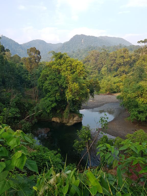 Batu Kapal Guest House & Jungle Trekking Bukit Lawang Dış mekan fotoğraf
