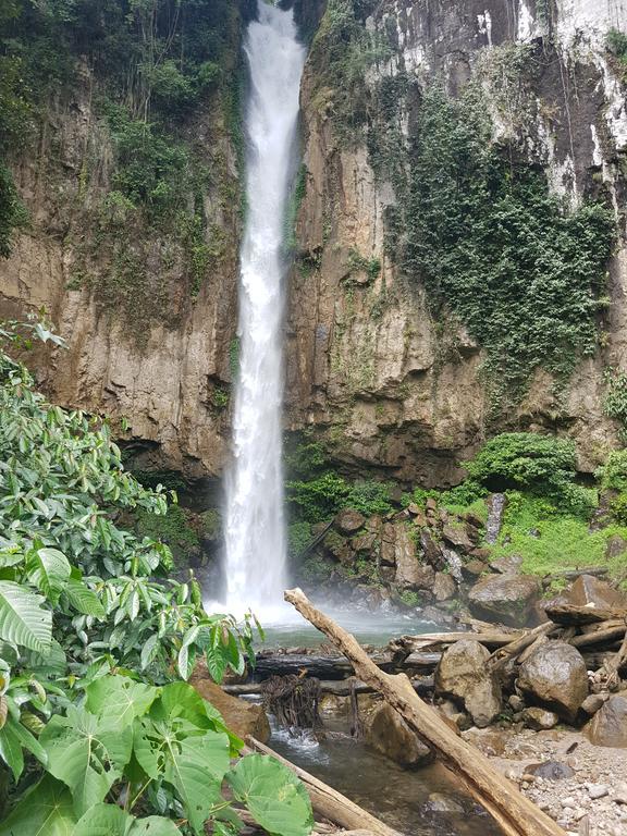Batu Kapal Guest House & Jungle Trekking Bukit Lawang Dış mekan fotoğraf